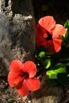 Agroturismo El Jard�n De Los Sue�os