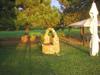 Agroturismo U' Cecere Agriturismo