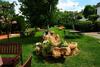Agroturismo Il Carrettino Country Hotel