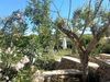 Bed & Breakfast Al Palmento Cruillas