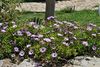 Bed & Breakfast Al Palmento Cruillas