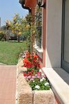 Bed & Breakfast Al Palmento Cruillas