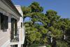 Park Hotel Villa Maria