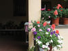 B&B Agnese Bergamo Old Town Charme