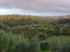 Agroturismo Podere San Quirico