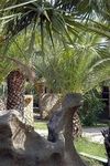 Hotel Green Village Resort