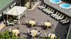 Hotel Ambasciatori Meeting & Spa