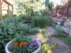 Avenue Hotel Bed And Breakfast