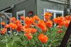 Avenue Hotel Bed And Breakfast