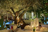 Hotel Oleandri Resort Paestum