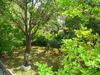 Bed & Breakfast L'or�e Du Bois