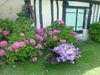 Bed & Breakfast Chambre D'h�tes Au Fil De L'eau