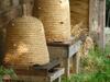 Bed & Breakfast Chambre D'h�tes Au Fil De L'eau