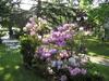 Bed & Breakfast Le Relais De La Tour