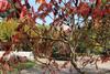 Bed & Breakfast Le Relais De La Tour