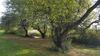 Bed & Breakfast Chambres D'h�tes Du Manoir Du Haut Salmon