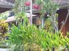 Hostal My Lovina Villa