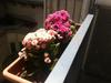 Bed & Breakfast Borgo Santa Lucia
