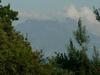 Bed & Breakfast Residenza Le Rose