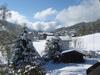 Apartamento Landhaus Frenes