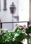 Bed & Breakfast Residenza San Faustino