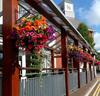 Hotel Carrigaline Court