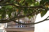 Agroturismo Casa Rural La Casa De Campo I Y II