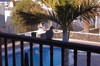 Apartamentos Princesa Guayadeque