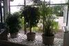 Hotel H�tel Bress'sa�ne