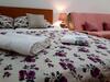 Hostal Zizi Guest House