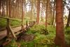 Naturkost-hotel Harz