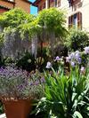 Bed & Breakfast Al Giardino Di Alice