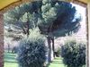Hotel Tenuta Montelaura