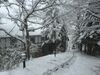 Bed & Breakfast Guesthouse Kreutzer