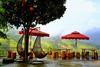 Albergue Longsheng Golden Dragon Country Villa