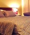 Hotel Friend