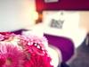 Hotel Mercure Angers Centre Foch