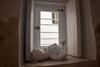 Apartamento Casa Bodega Triana