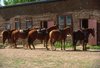Hotel Ranch At Ucross