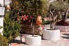 Hotel Alcadima