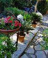 Bed & Breakfast Le Mas De Marie