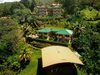 Hotel Whales  And  Dolphins