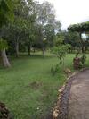 Medori Putih Homestay