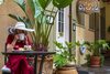 Dauphine Orleans Hotel