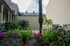 Dauphine Orleans Hotel