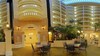 Hotel Embassy Suites Orlando-intl Dr. South Convention Center