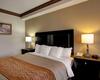 Hotel Comfort Inn & Suites (.)