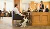 Hotel Ch�teau Bonne Entente