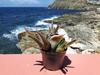 Apartamento Ocean Shore