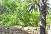 Apartments With A Parking Space Veli Losinj (losinj) - 8029